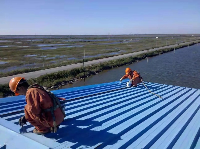 崇阳彩钢瓦屋面防腐翻新